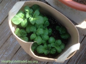 Potato Grow Bag